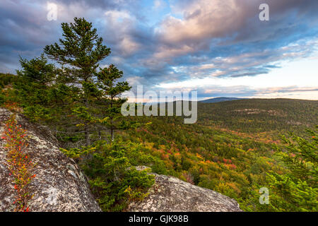 Alberi a cambiare colore in autunno con una vista del Cadillac Mountain nel Parco Nazionale di Acadia, isola di Mount Desert, Maine. Foto Stock