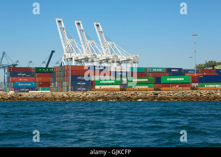 Sollevate il Gantry cranes e impilati i contenitori di spedizione sul molo J alla lunga spiaggia di terminal per container, Los Angeles, California, USA. Foto Stock