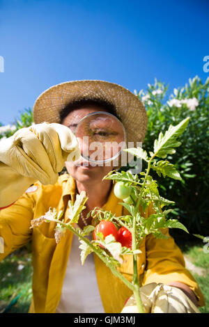 Donna calice di vetro Foto Stock