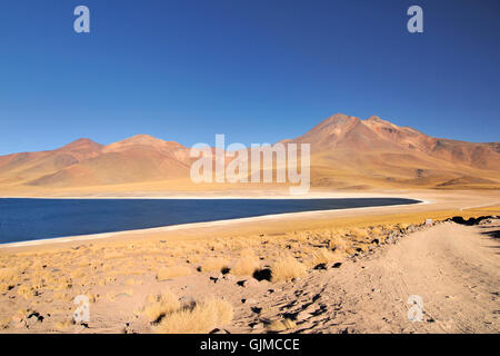 Vasto deserto del Cile Foto Stock