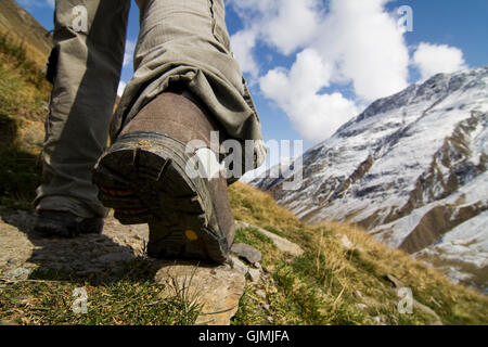 Scarpa da trekking Foto Stock