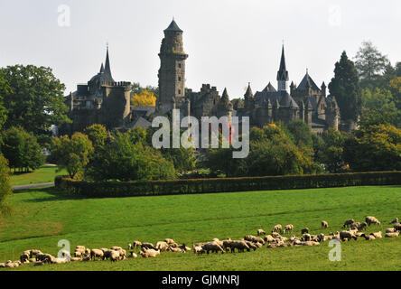 Rovina emblema chateau Foto Stock