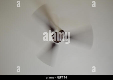 Questa fotografia cattura il movimento di un ventilatore a soffitto rotante a 40° di una seconda esposizione, dimostrando i principi della sfocatura del movimento nella fotografia. L'immagine mostra efficacemente l'equilibrio tra luce e movimento in un breve lasso di tempo. Foto Stock