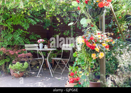 Angolo ombreggiato in un giardino suburbano con sovrastante struttura apple Foto Stock