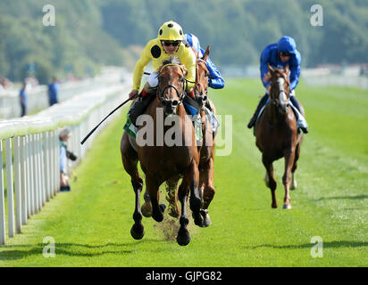 Rinviata cavalcato da Andrea Atzeni vince il Juddmonte International Stakes durante il giorno uno del 2016 Yorkshire Ebor Festival a York Racecourse. Foto Stock