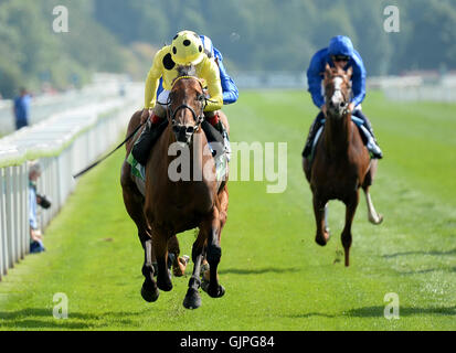 Rinviata cavalcato da Andrea Atzeni vince il Juddmonte International Stakes durante il giorno uno del 2016 Yorkshire Ebor Festival a York Racecourse. Foto Stock