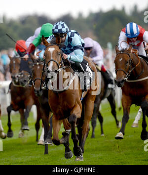 La ruota del carro cavalcato da Patrick Mathers vince il Betway picchetti durante il giorno uno del 2016 Yorkshire Ebor Festival a York Racecourse. Foto Stock