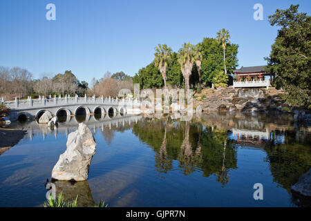 Giapponese funzione acqua nella riserva Nurragingy Foto Stock