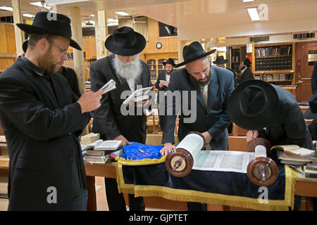 Una lettura della Torah su Tisha B'Av dove adoratori non indossare i filatteri o preghiera scialli. Brooklyn, New York. Foto Stock