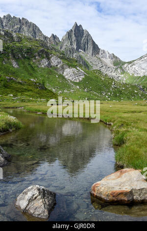 Fiume oltre il lago Tremorgio Il Canton Ticino nelle alpi svizzere Foto Stock