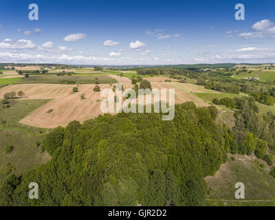 Suwalki Landscape Park, Polonia. L'estate. Vista da sopra. Foto Stock