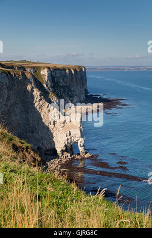 Bempton Cliffs Chalk scogliere; Riva e Arco Yorkshire; Regno Unito Foto Stock