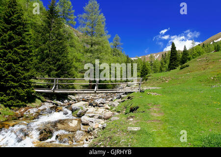 Montagne delle Alpi a ponte Foto Stock