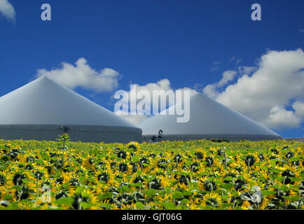 Impianto di produzione di biogas - impianto di produzione di biogas 35 Foto Stock