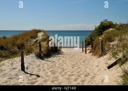 Transizione di spiaggia Foto Stock