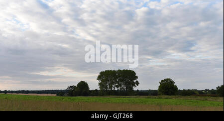 Vista attraverso i campi aperti della campagna di Norfolk, sotto un cielo nuvoloso, tipico dell'inglese estate Foto Stock