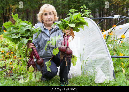 Donna matura con barbabietola in mani seduti in giardino vegetale Foto Stock