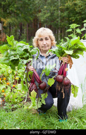 Donna matura un giardiniere seduta con barbabietola in mani in un orto Foto Stock