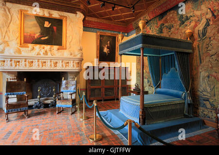 Il Chateau de Chenonceau, vista interna, Francia Foto Stock