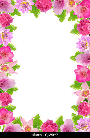 Fiore fiori impianto Foto Stock