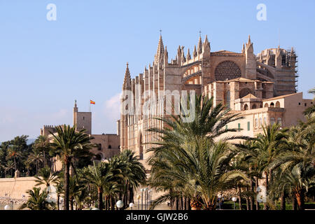 La seu in palma de mallorca Foto Stock