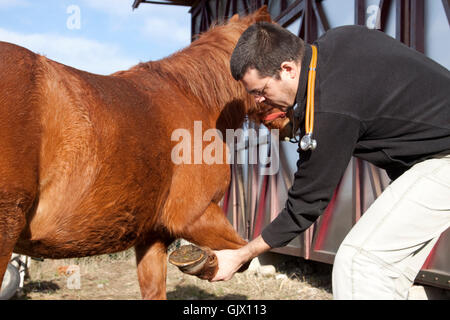 Medico medico medic Foto Stock