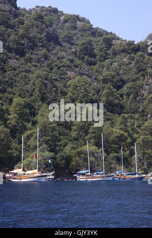 Gite in barca per i turisti intorno alle baie di Fethiye Foto Stock