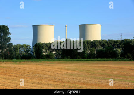 D-Biblis, Reno, Alto Reno, Bergstrasse, Hesse, D-Worm, Reno, Alto Reno, Hesse renana, area Rhine-Neckar, quartiere Reno-meno, Renania-Palatinato, D-Worms-Ibersheim, vista dal villaggio Ibersheim attraverso il Reno di Biblis per la centrale nucleare di potenza di RWE AG, le torri di raffreddamento, paesaggio, raccolte cornfield Foto Stock