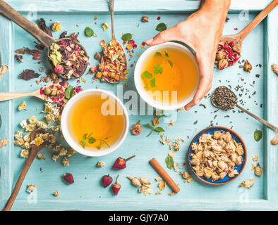 Due tazze di sano tè alle erbe con la menta, cannella, essiccato rose e fiori di camomilla in diversi cucchiai e donna di mano azienda Foto Stock