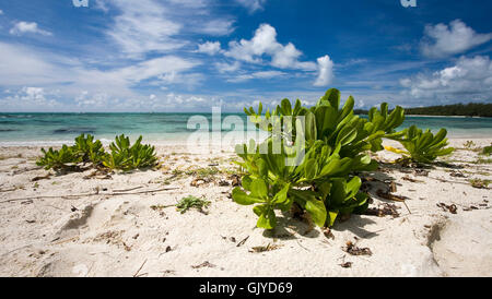 Casa vacanze vacanze Foto Stock