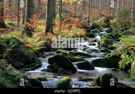 Kleine ohe parco nazionale della Foresta Bavarese Foto Stock