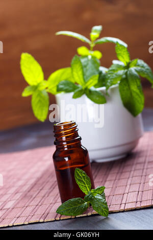 Olio essenziale di menta in una bottiglia piccola, aromaterapia impostazione sullo sfondo di legno.Il fuoco selettivo Foto Stock