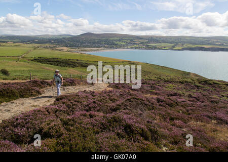 Un solitario escursionista femmina del Pembrokeshire sentiero costiero nel sud-ovest del Galles, con Newport Sands in background. Foto Stock