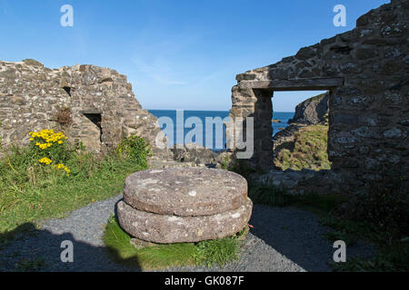 Le rovine di Melin Trefin mulino nel villaggio di Trefin nel sud del Galles occidentale. Il Pembrokeshire Coast Path passa attraverso qui. Foto Stock