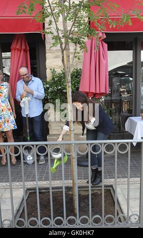 Holly Marie pettini in corrispondenza di una piantagione di alberi della manifestazione presso il Grove a Hollywood con: Holly Marie pettini dove: Los Angeles, California, Stati Uniti quando: 22 Apr 2016 Foto Stock