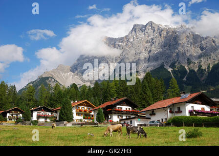 Alpi alpine austria Foto Stock