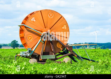 Kalmar, Svezia - Agosto 10, 2016: industriali di grandi dimensioni stelo di irrigazione in un campo di patate in tarda estate. Foto Stock