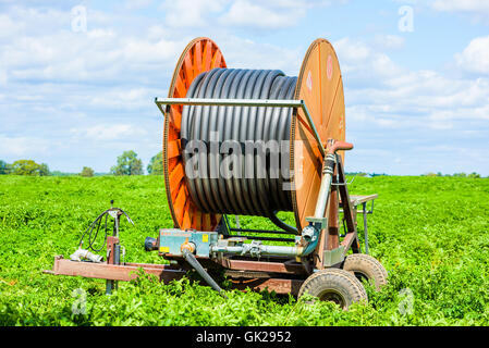 Kalmar, Svezia - Agosto 10, 2016: industriali di grandi dimensioni stelo di irrigazione in un campo di patate in tarda estate. Foto Stock