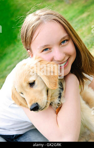 cane dorato Foto Stock