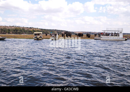 I turisti la visione di gioco su barche di safari sul fiume Chobe Botswana Africa Foto Stock