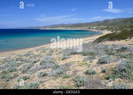 Lara Bay Turtle Beach,, Akamas Cipro Foto Stock