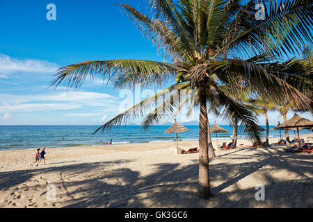 Palma da cocco albero che cresce sulla spiaggia di Cua Dai. Hoi An, Quang Nam Provincia, Vietnam. Foto Stock