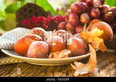 Le uova vicino la salute Foto Stock