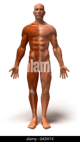 Istruzione salute sport Foto Stock