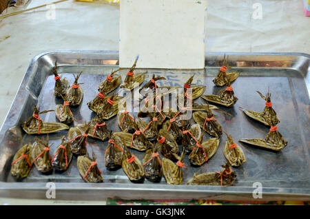Lethocerus indicus è un gigante acqua vendita di bug per la cottura al mercato locale in Sakon Nakhon, Thailandia Foto Stock