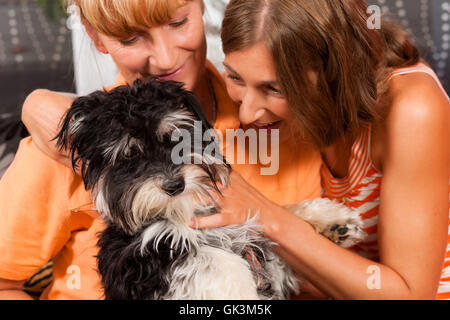 Donna Uomo gli esseri umani Foto Stock