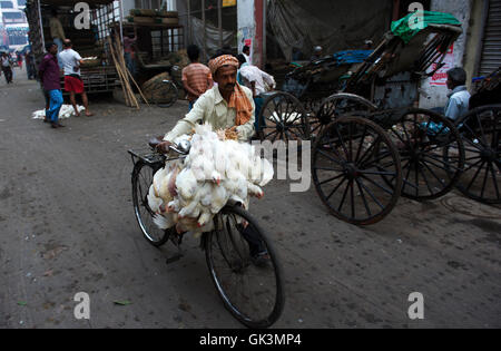 29 feb 2012, Calcutta, Bengala, India --- Calcutta, West Bengal, India --- Image by © Jeremy Horner Foto Stock