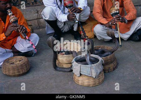 Jaipur, India --- incantatori di serpenti esecuzione in India --- Image by © Jeremy Horner Foto Stock