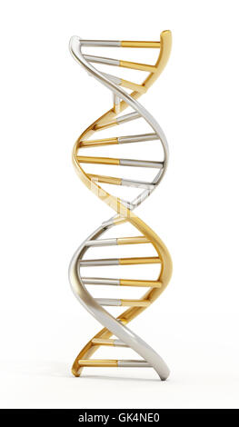 Oro e argento elica di DNA. 3D'illustrazione. Foto Stock