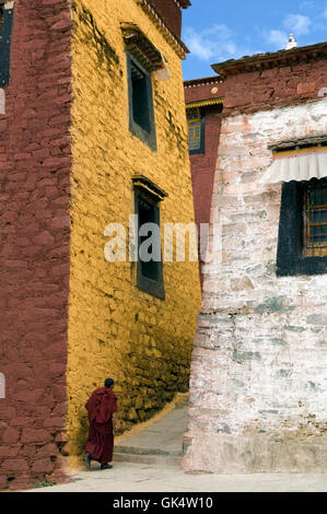 23 ago 2007, Tibet, Cina --- un monaco passeggiate fra i molti edifici del monastero di Ganden, 40 km da Lhasa, uno dei cinque impor Foto Stock